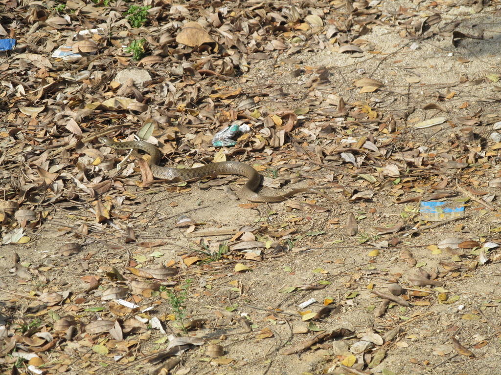 IMG_8449.jpg