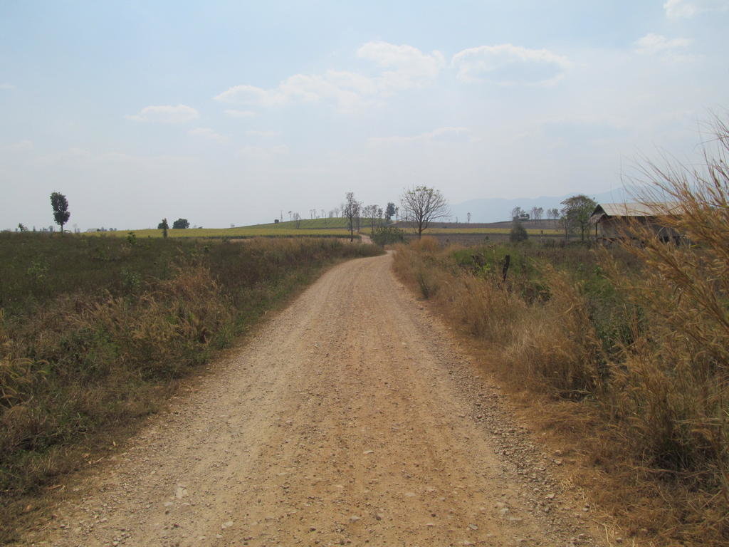 IMG_8478.jpg