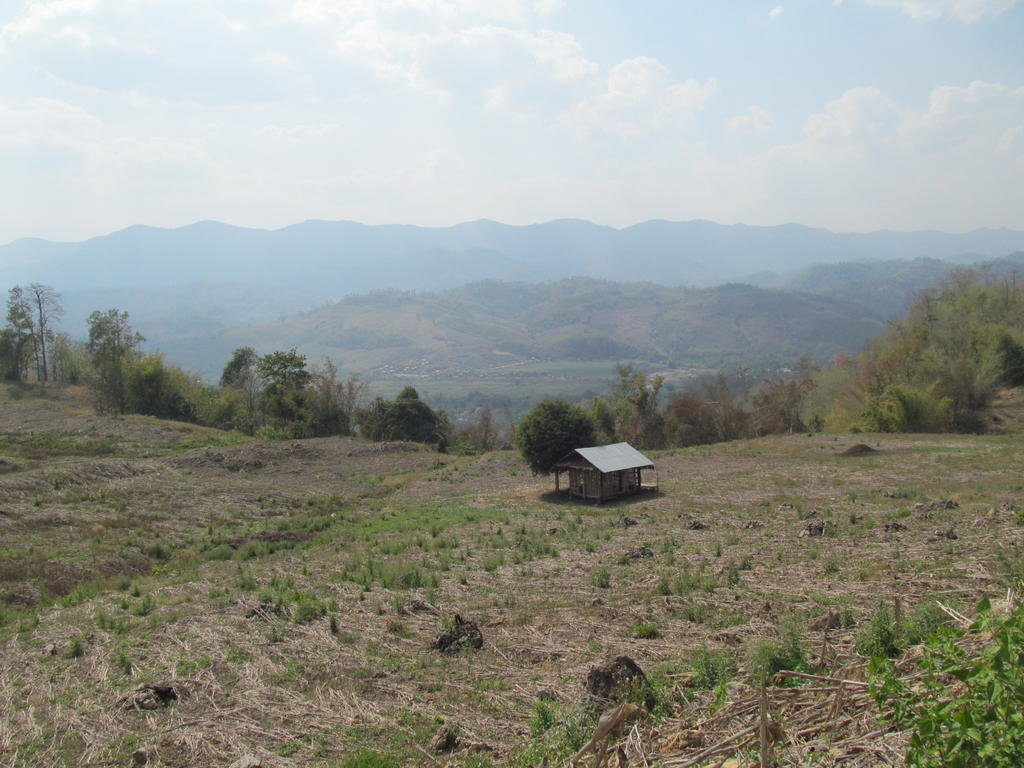 IMG_8485.jpg