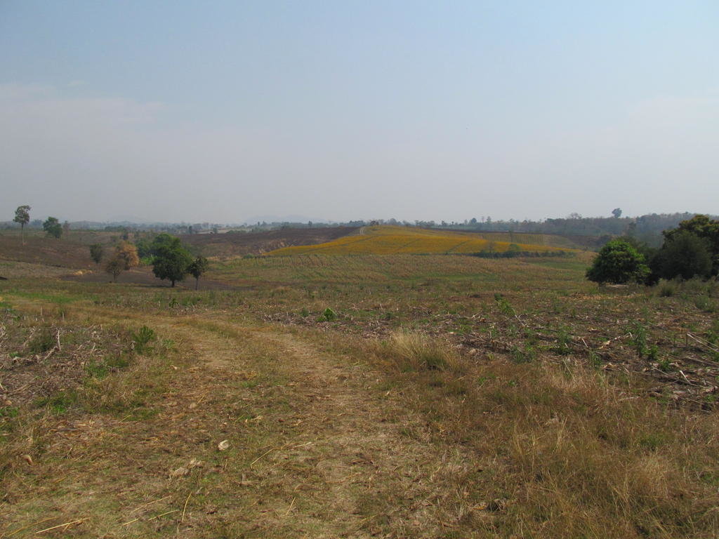 IMG_8520.jpg