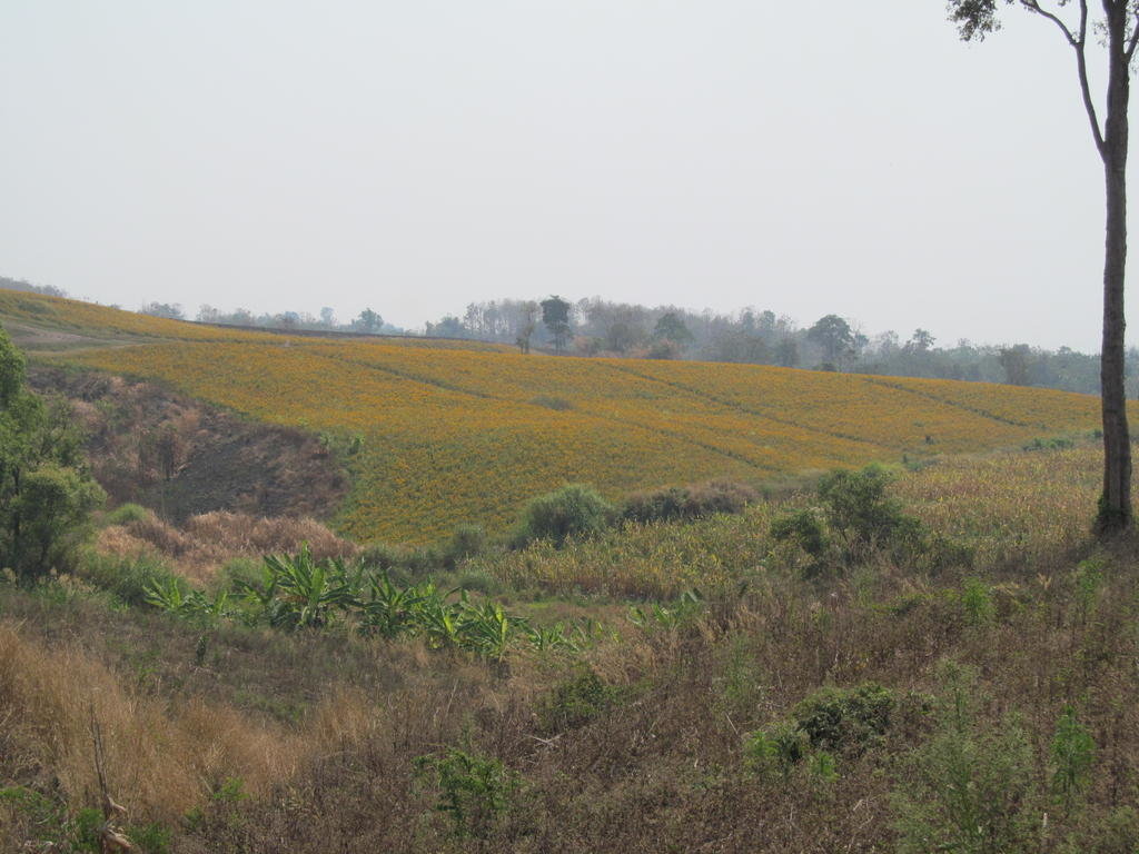 IMG_8524.jpg