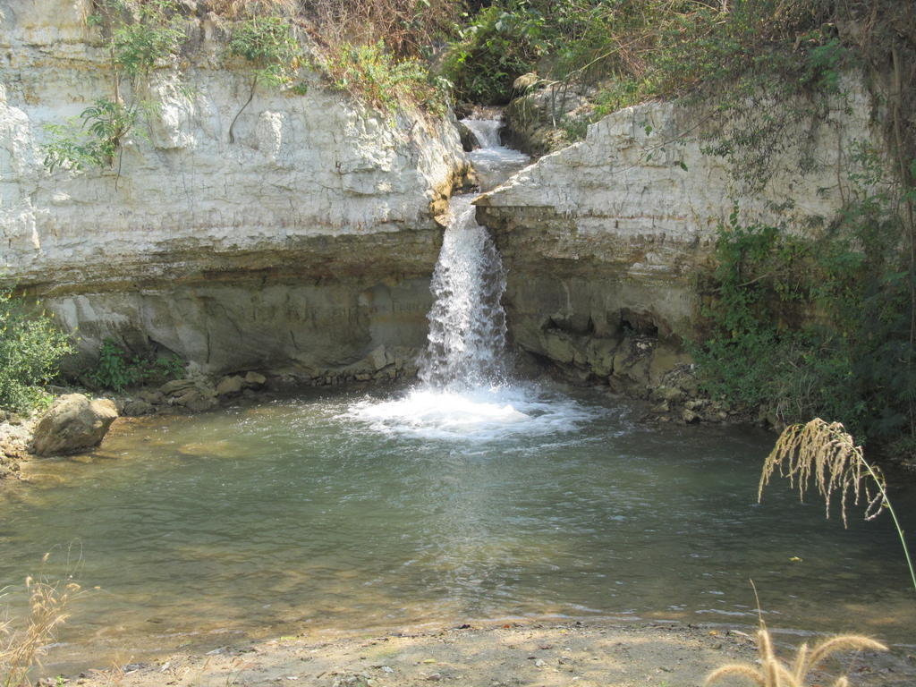 IMG_8534.jpg