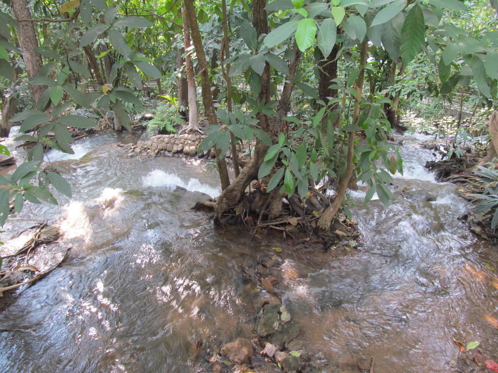 IMG_8554.jpg