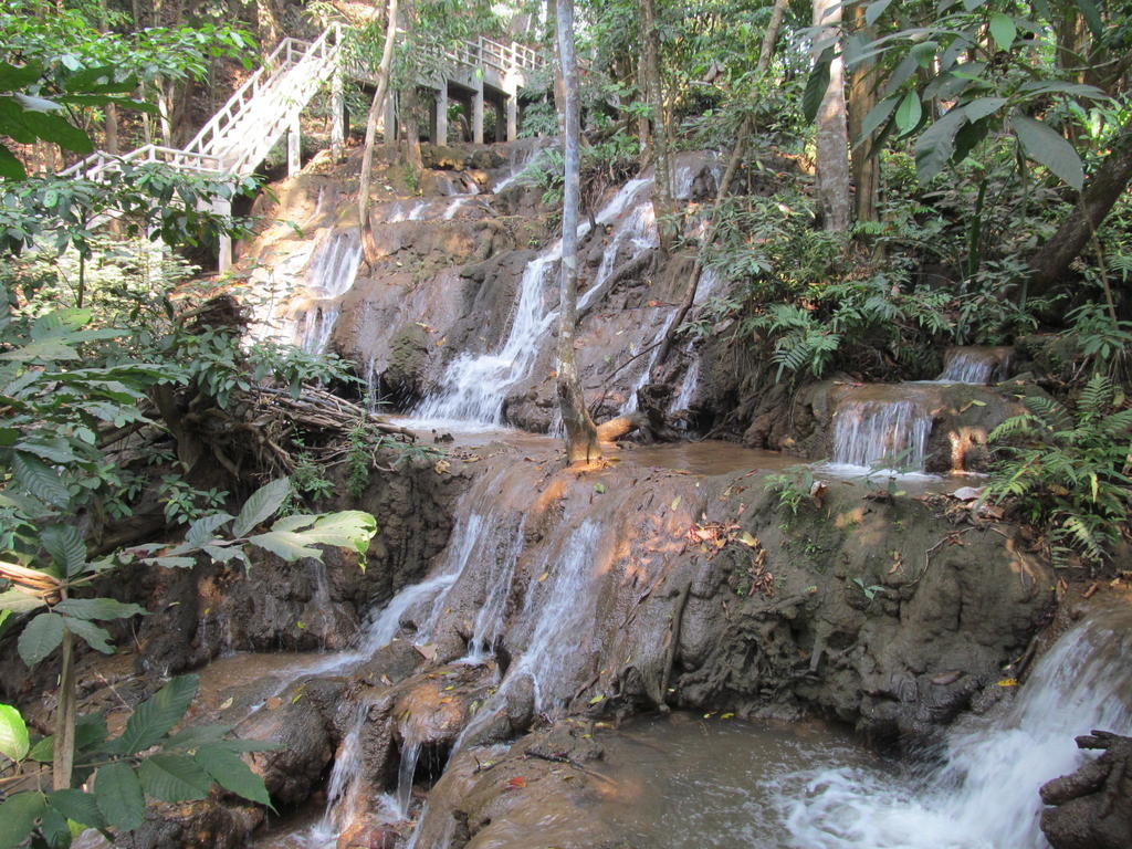 IMG_8561.jpg