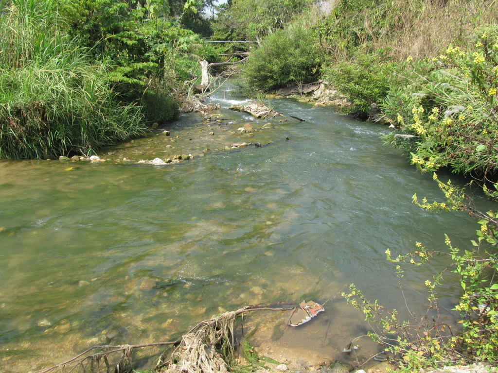 IMG_8592.jpg