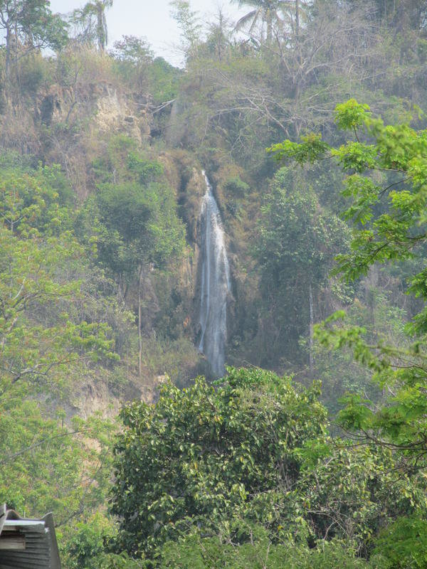 IMG_8595.jpg