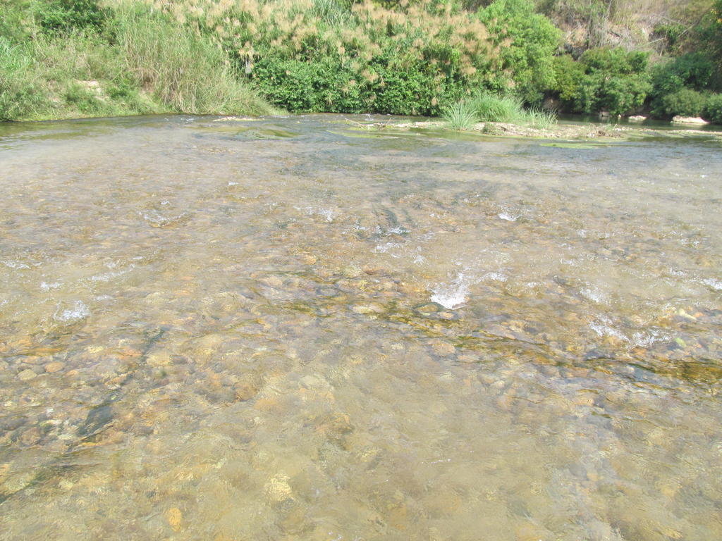 IMG_8622.jpg
