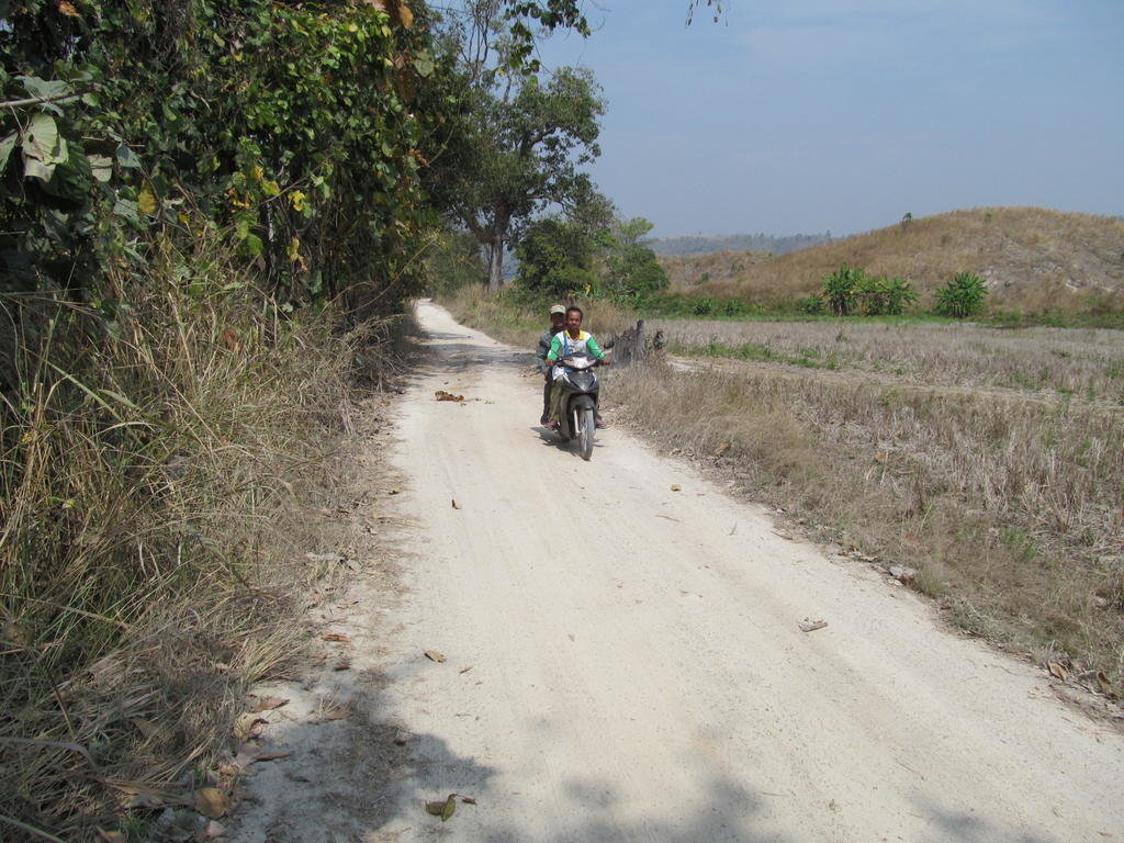 IMG_8630.jpg