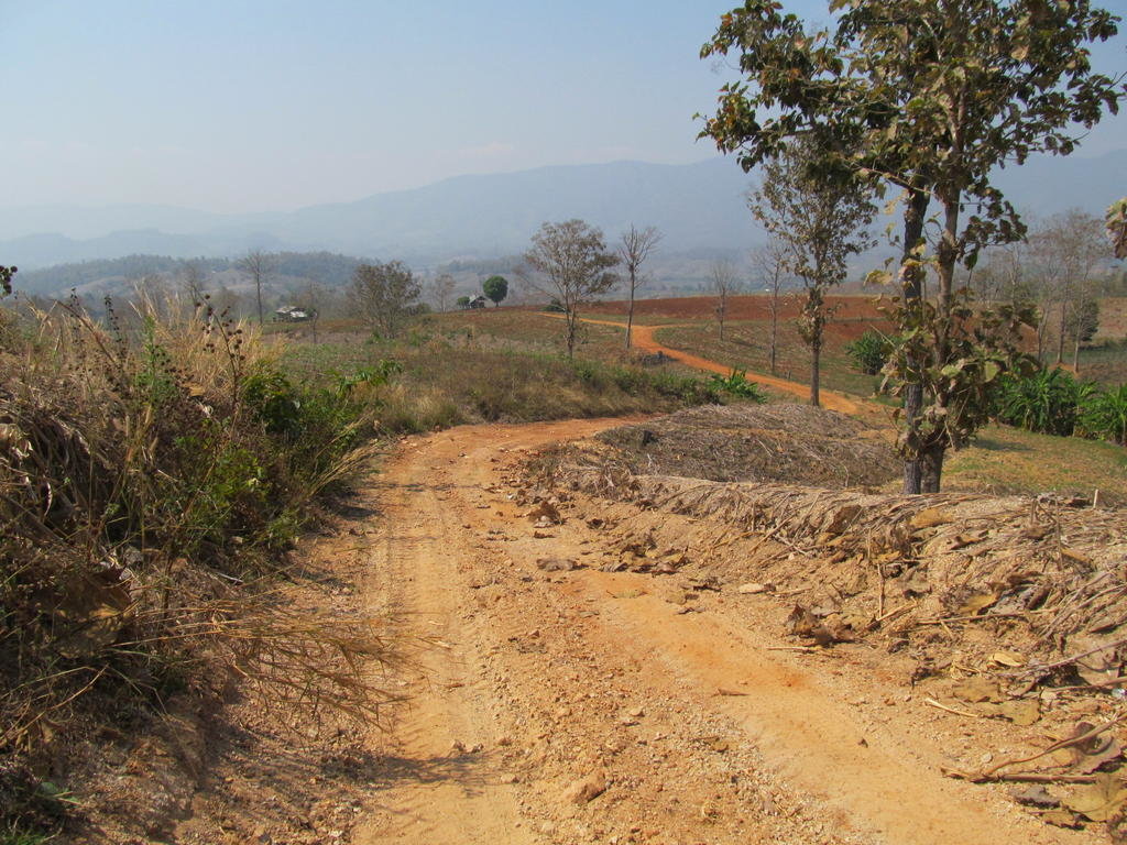 IMG_8666.jpg