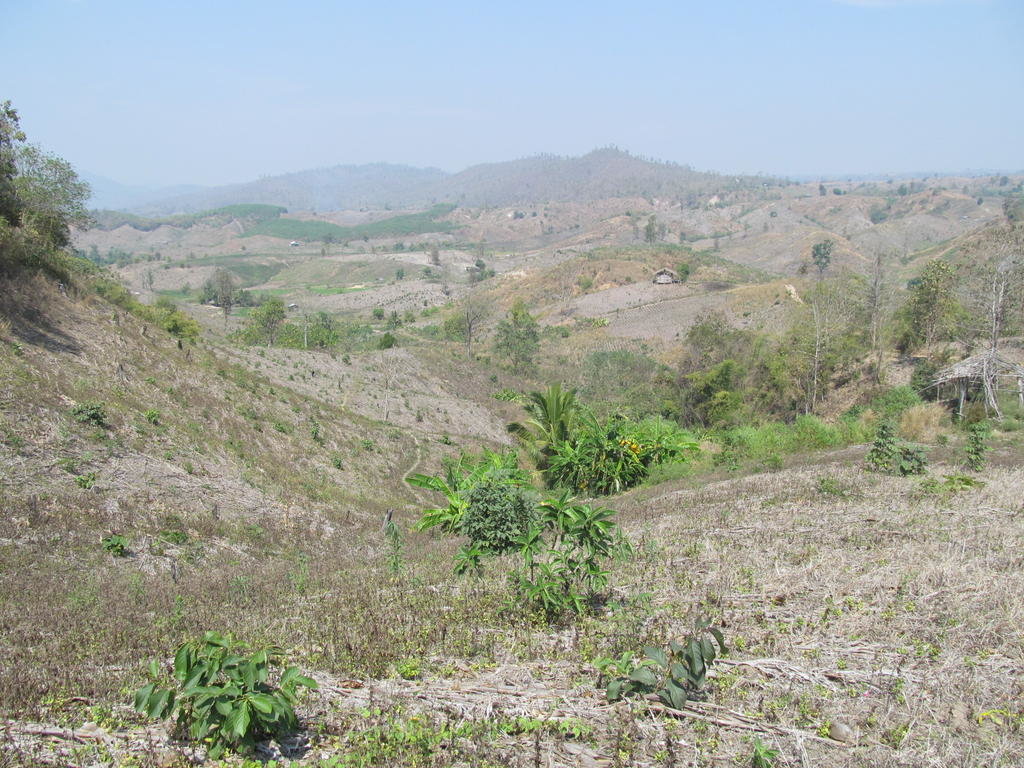 IMG_8677.jpg