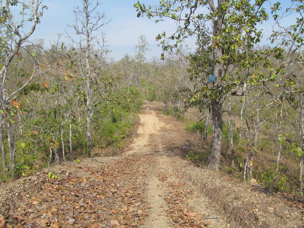IMG_8694.jpg