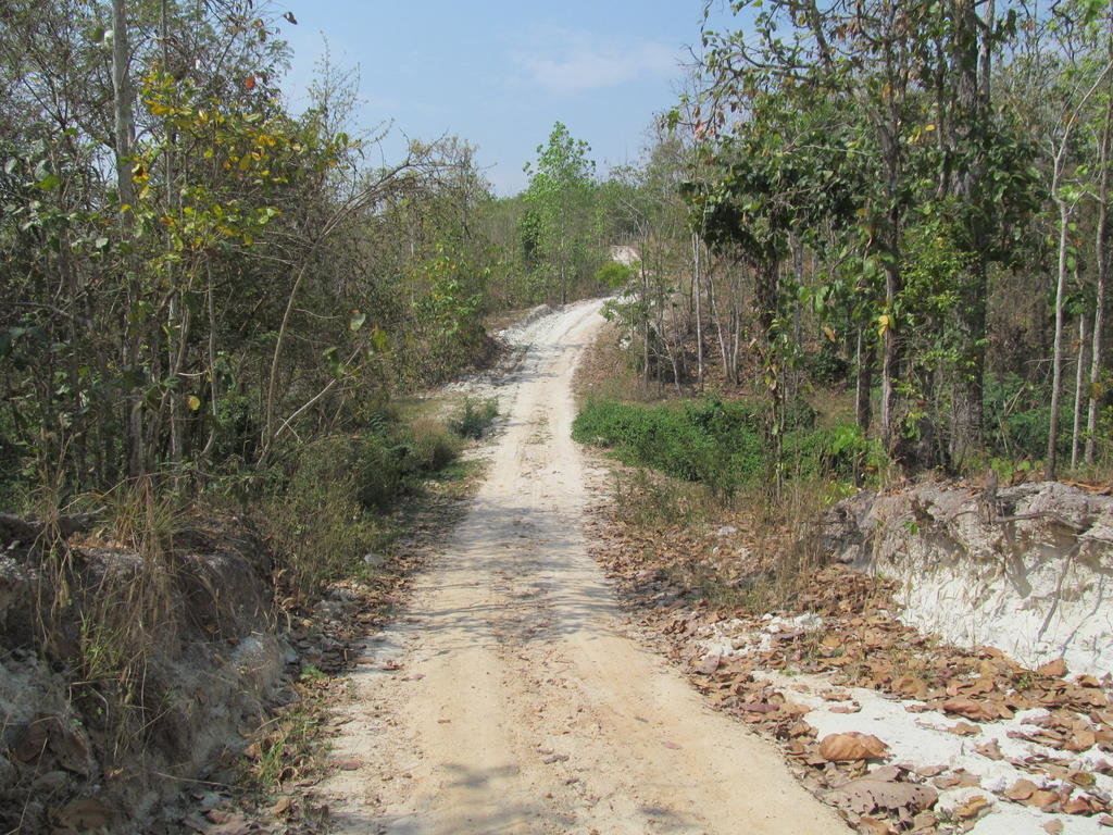 IMG_8717.jpg