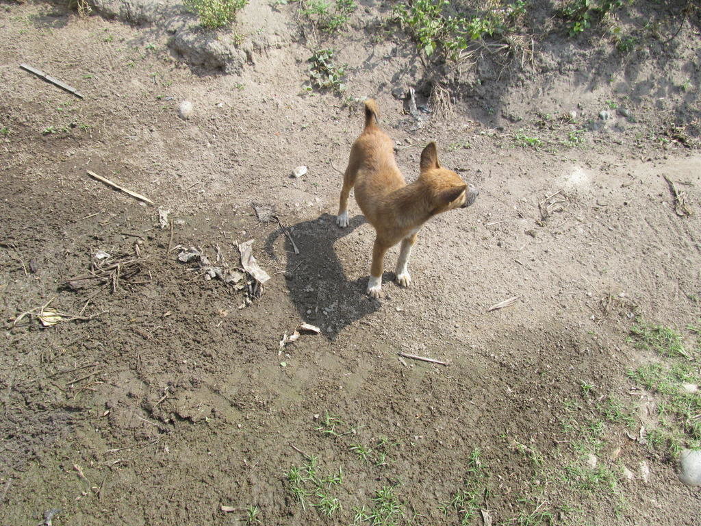 IMG_8741.jpg