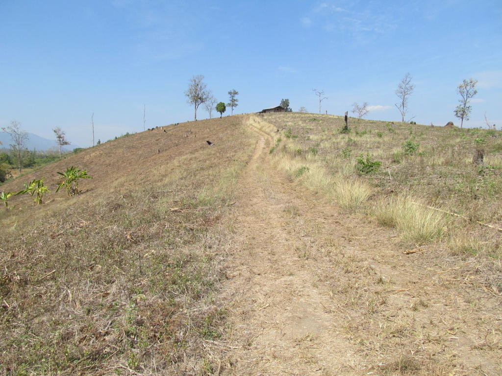 IMG_8771.jpg