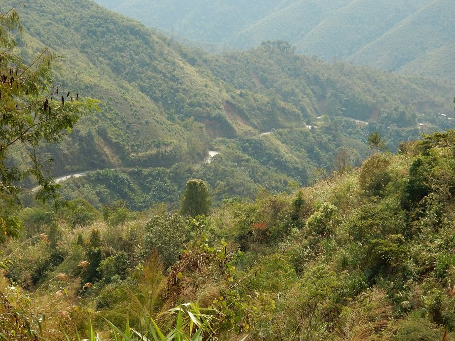 road view (2).JPG road view (2).JPG