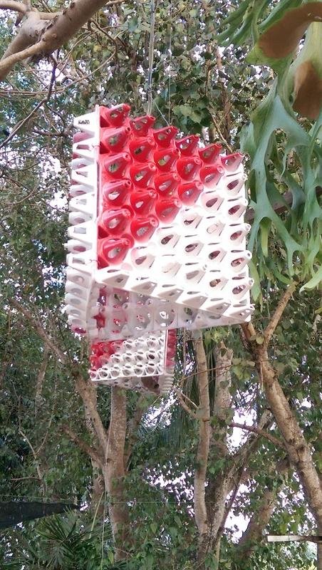 egg box.jpg egg box.jpg