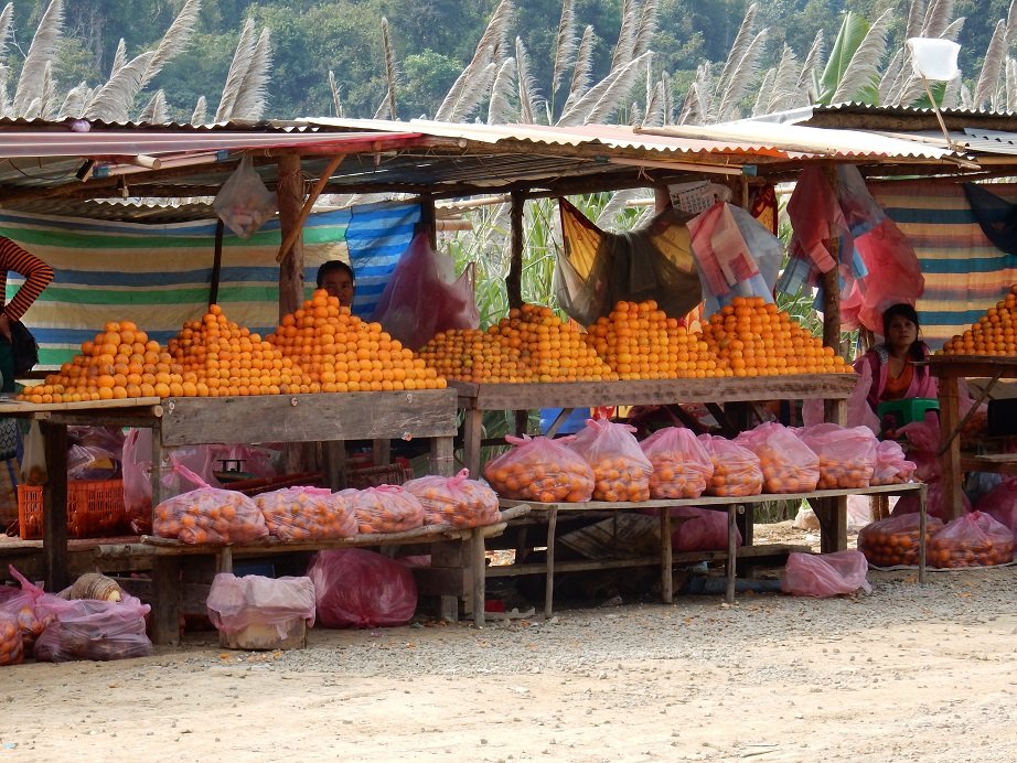 Oranges.JPG Oranges.JPG
