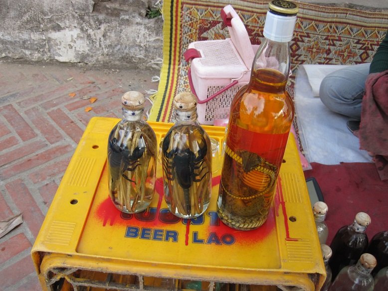snake drink (2).JPG snake drink (2).JPG