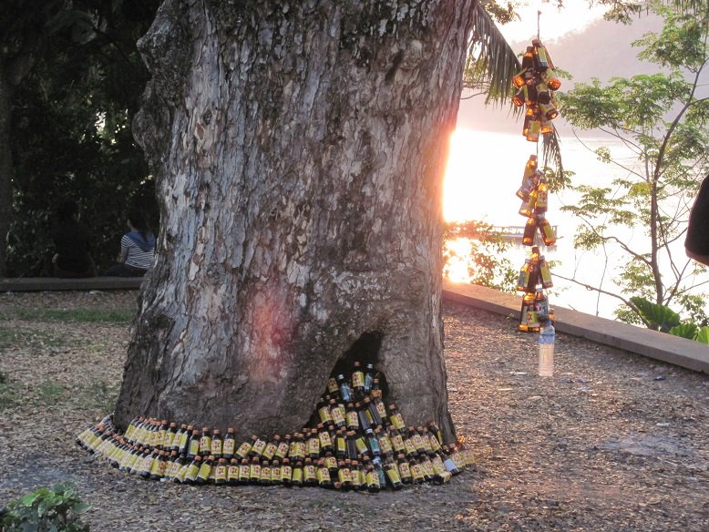 m150 tree.JPG m150 tree.JPG
