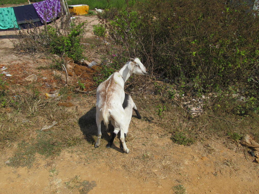 IMG_8800.jpg IMG_8800.jpg