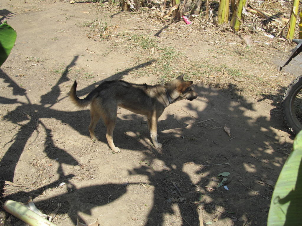 IMG_8846.jpg IMG_8846.jpg