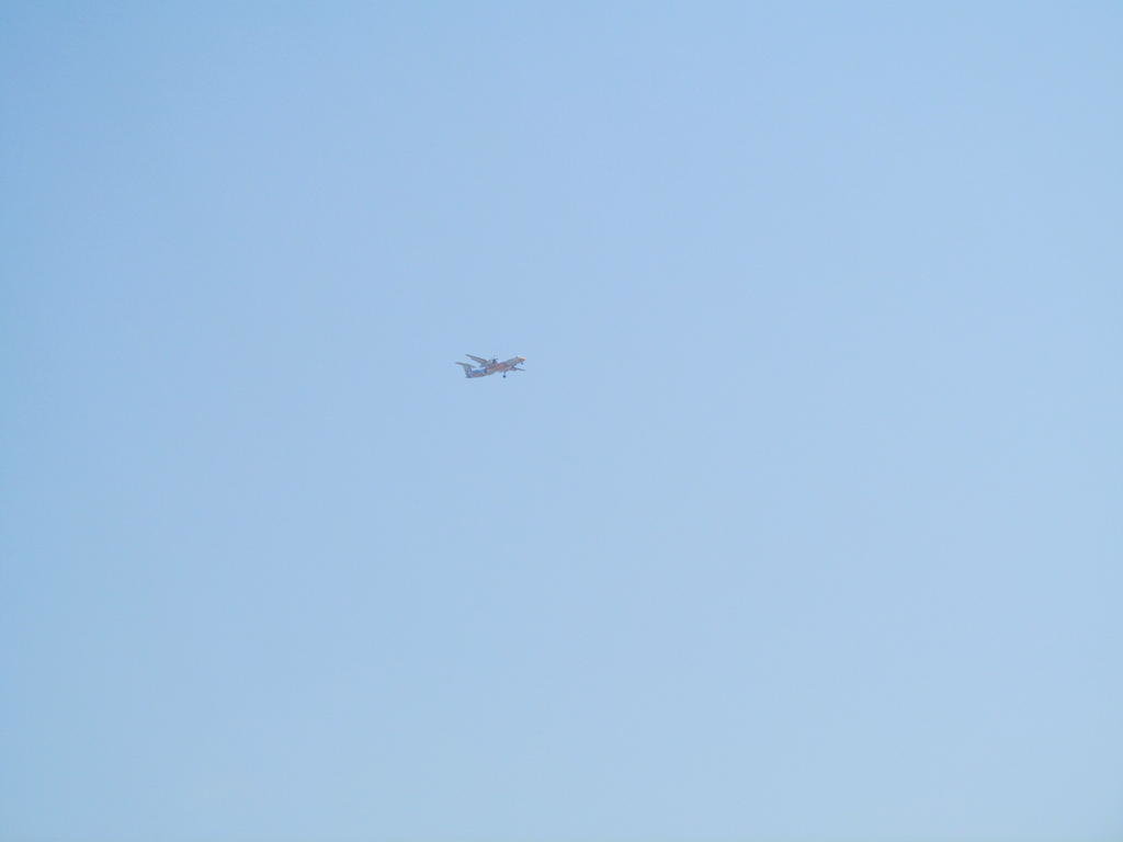 IMG_8881.jpg IMG_8881.jpg