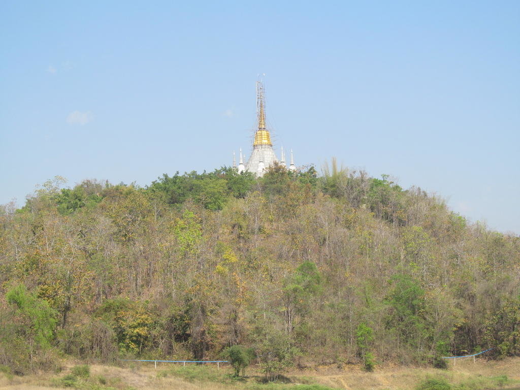IMG_8885.jpg IMG_8885.jpg