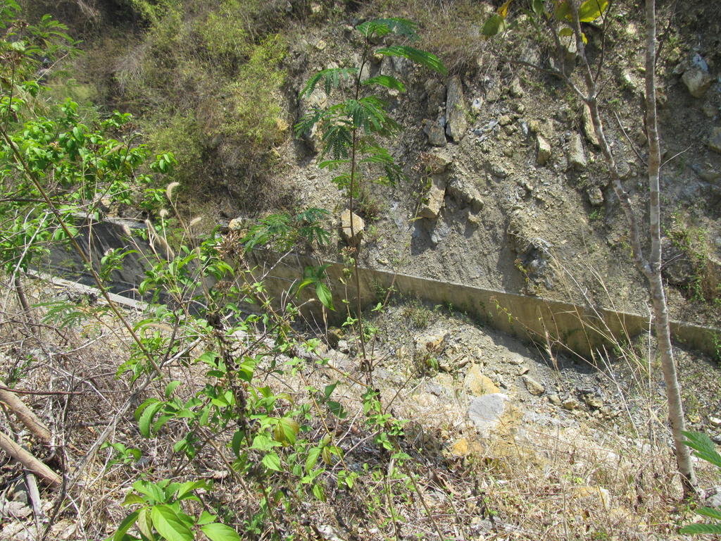 IMG_8922.jpg