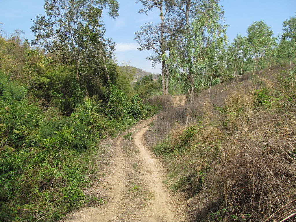 IMG_8926.jpg