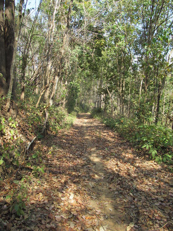 IMG_8980.jpg