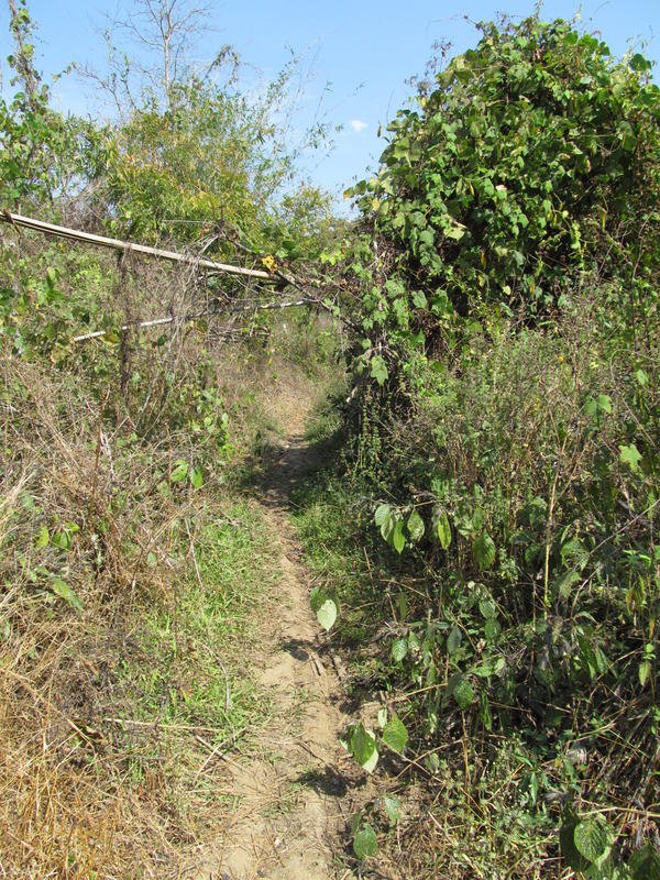 IMG_8981.jpg