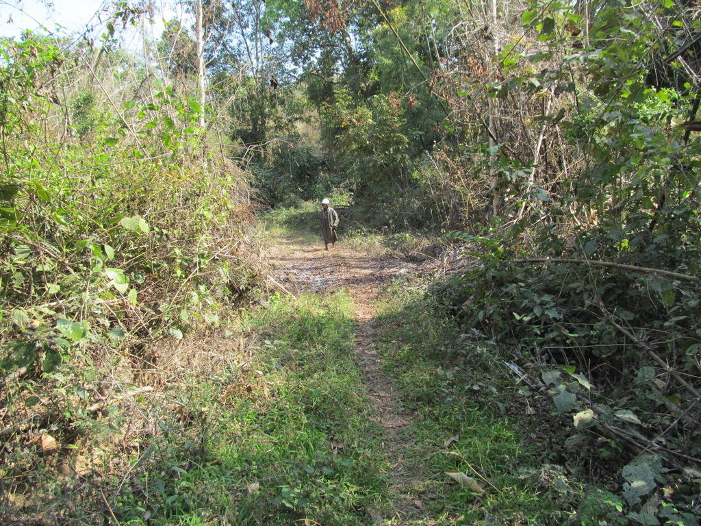 IMG_8982.jpg