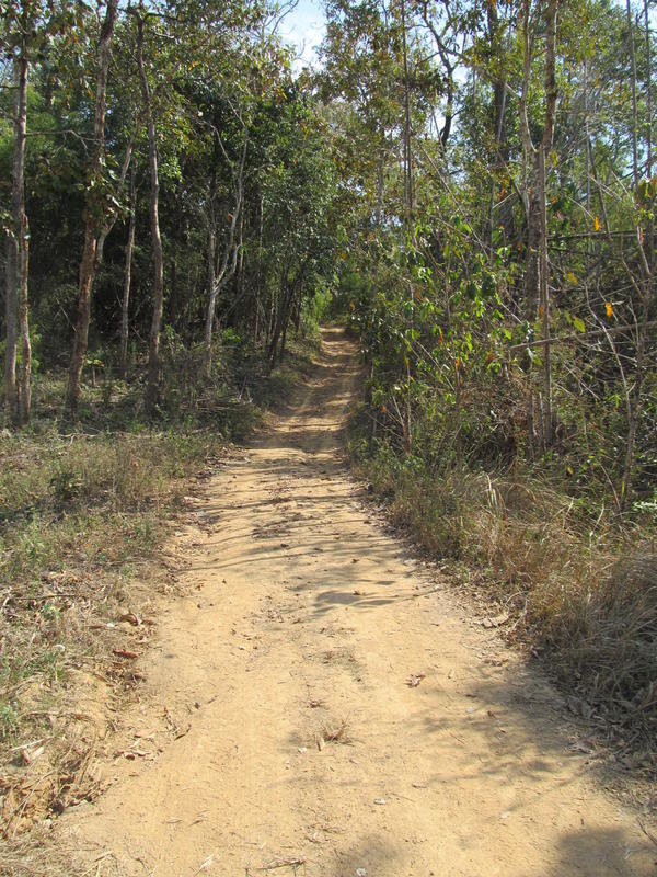 IMG_8986.jpg