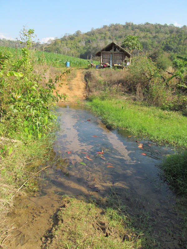 IMG_8992.jpg