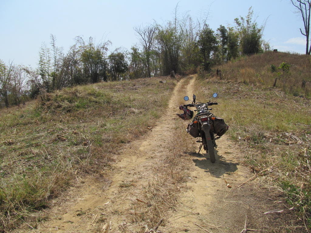 IMG_9006.jpg