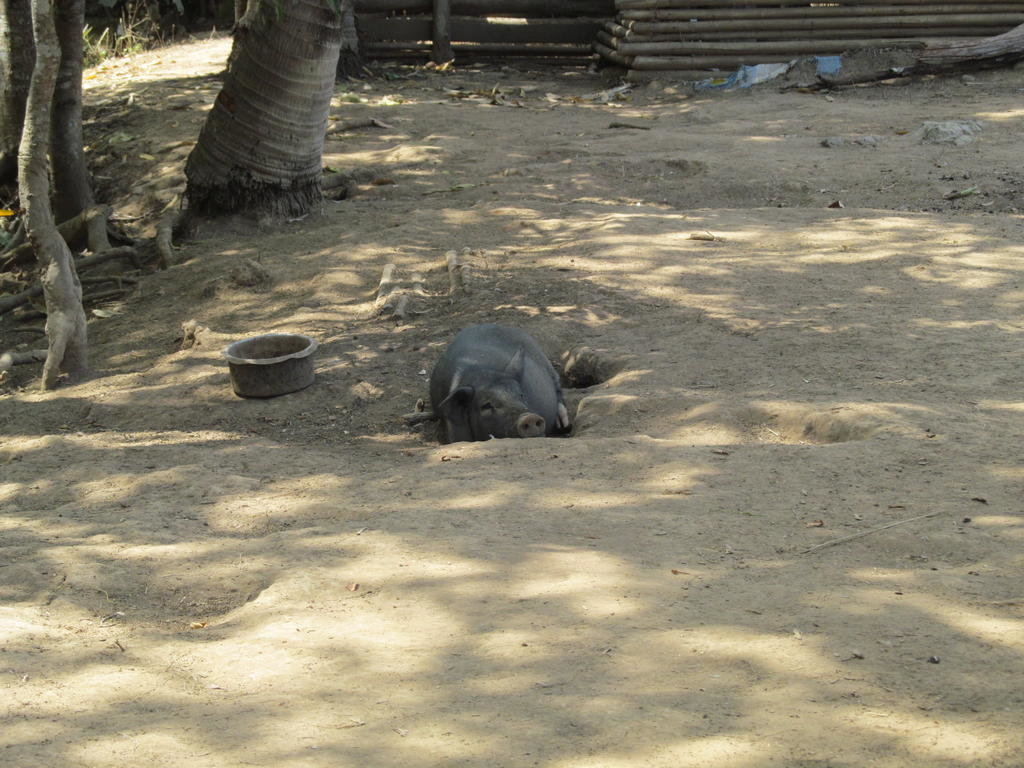 IMG_9016.jpg