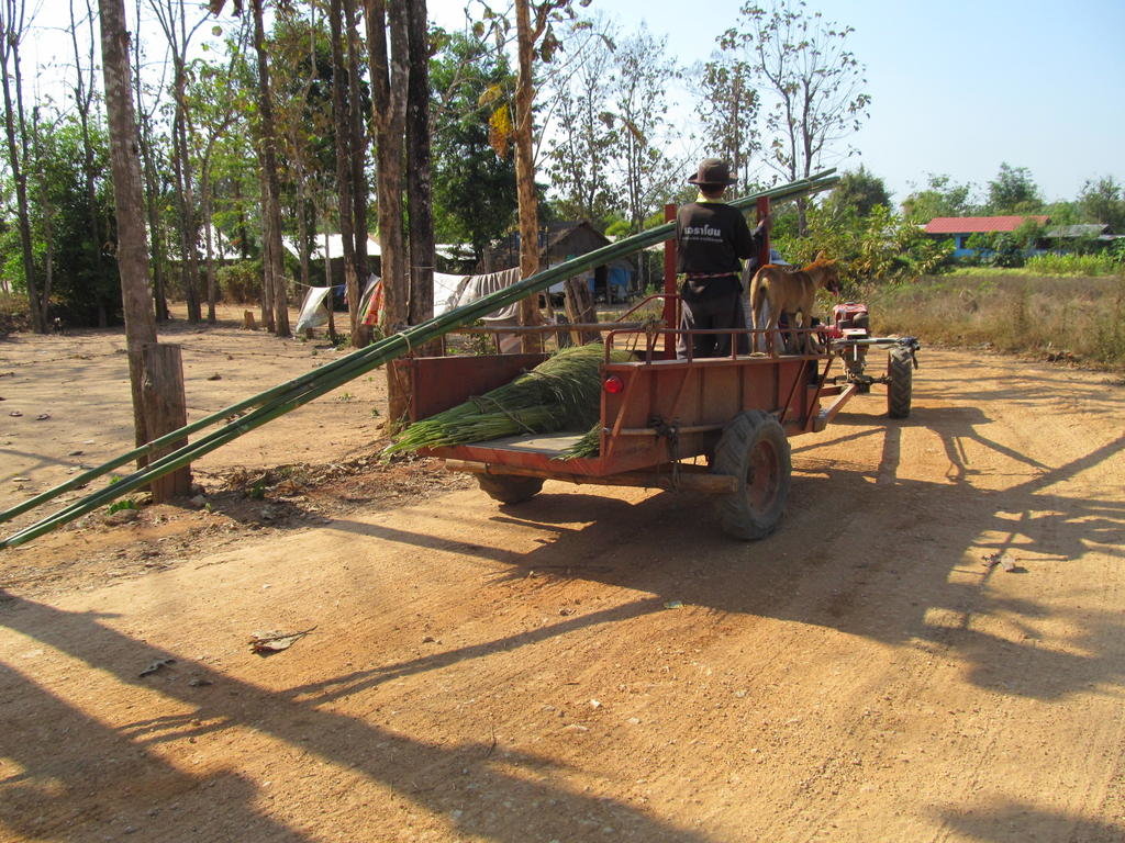 IMG_9197.jpg