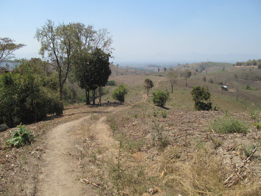 IMG_9210.jpg