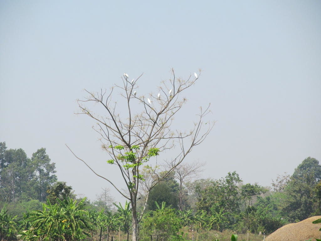IMG_9266.jpg
