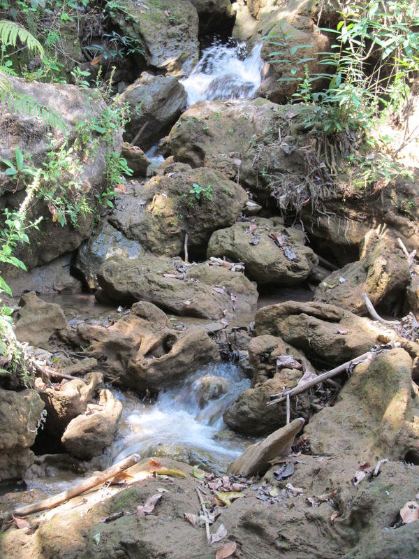 IMG_9286.jpg