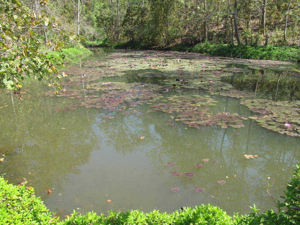 IMG_9301.jpg IMG_9301.jpg