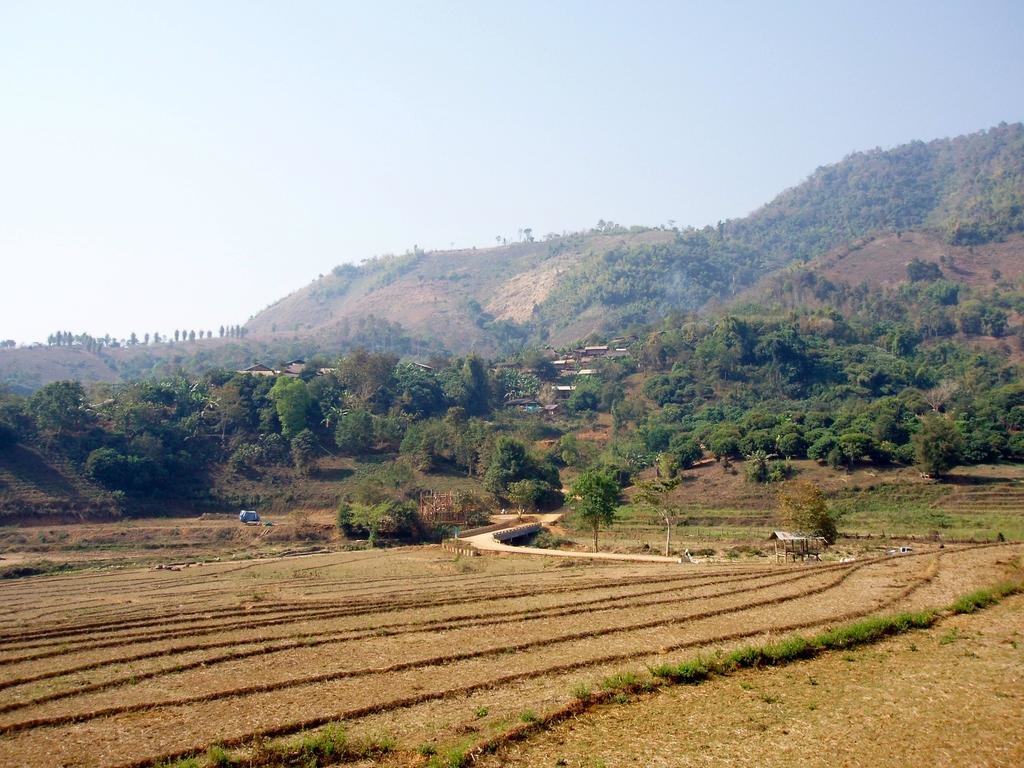 P1011230.jpg