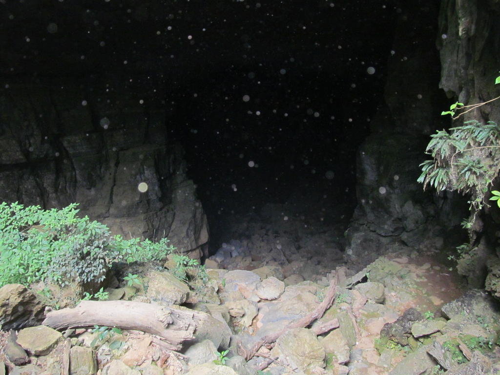 IMG_9533.jpg