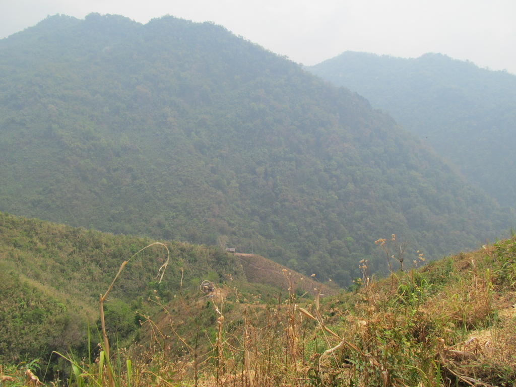 IMG_9593.jpg