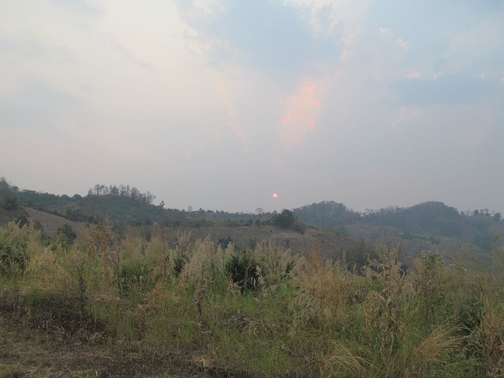 IMG_9620.jpg