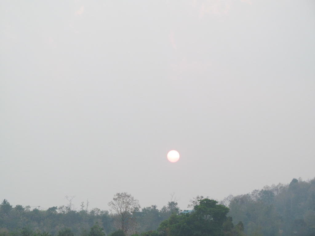 IMG_9621.jpg