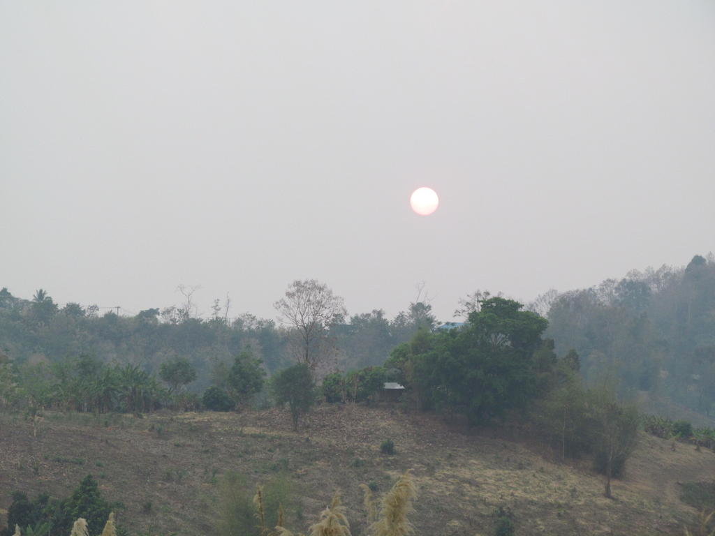 IMG_9622.jpg
