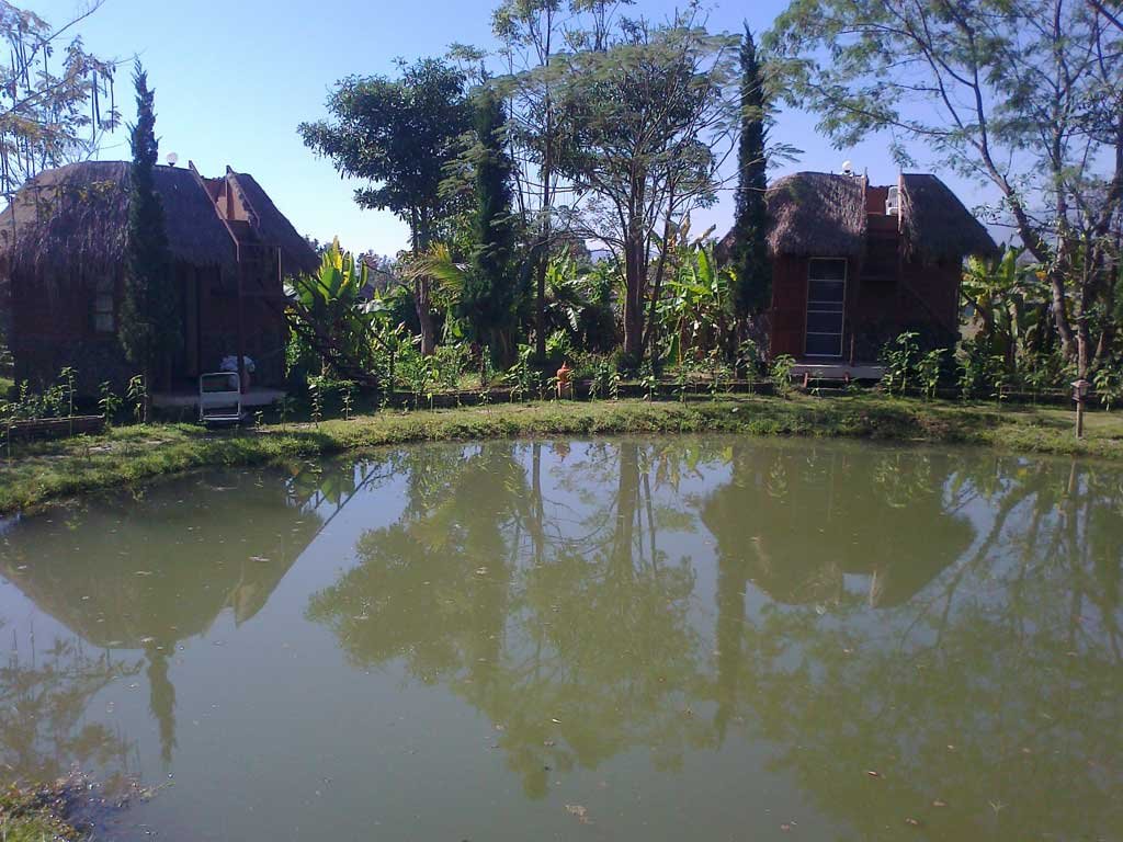 09.jpg 09.jpg