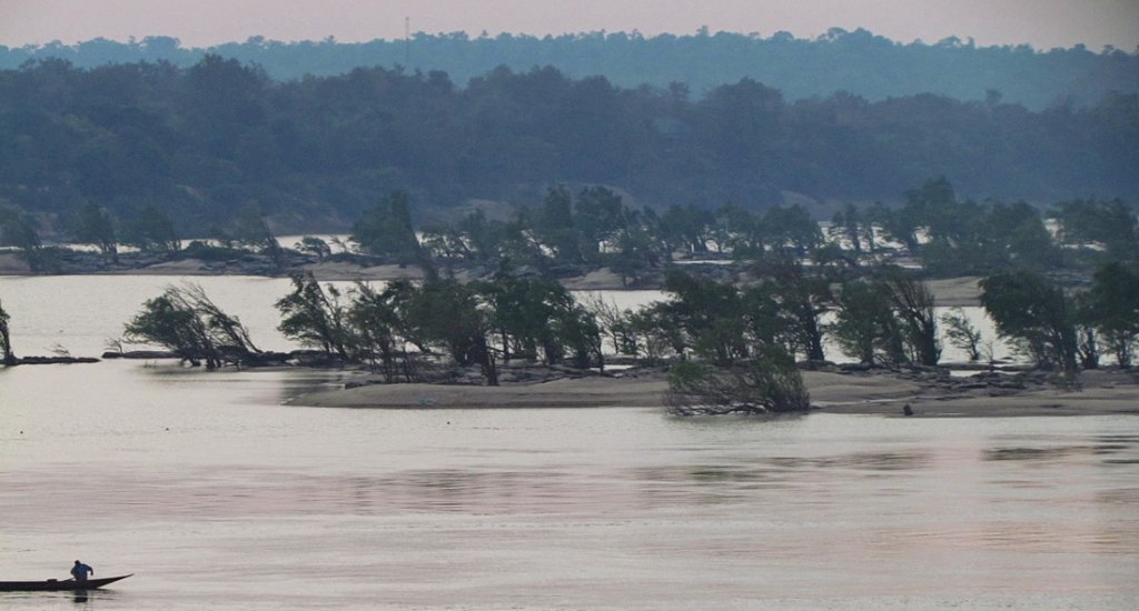 mekong trees.jpg