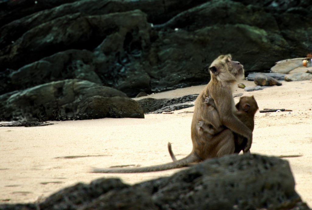 DSC_0163.jpg DSC_0163.jpg